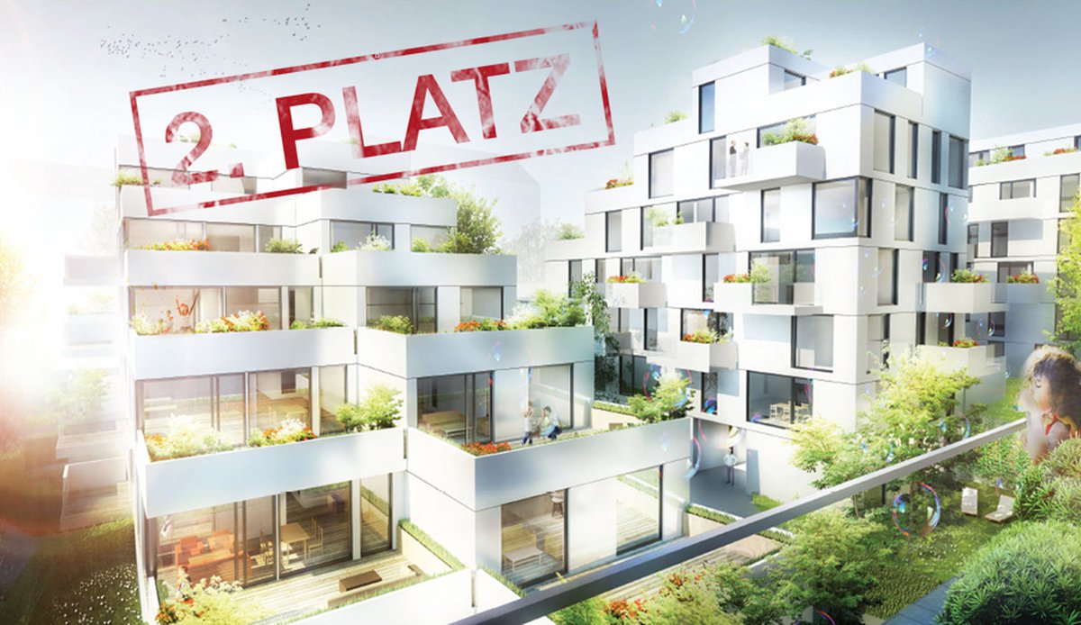 Goldegg terraces - competition, 2nd place