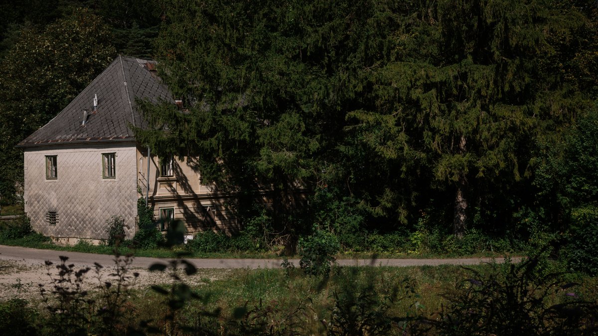Forst Kienberg