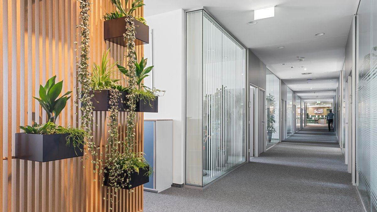 IG Immobilien