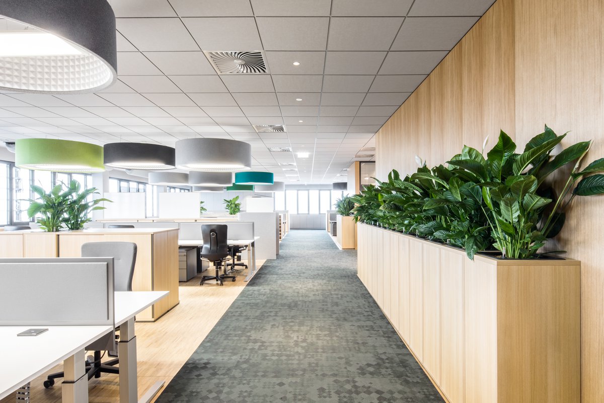 Merkur offices